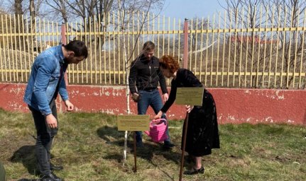 В честь Ширвани Костоева посажено именное  дерево