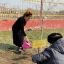 В честь Ширвани Костоева посажено именное  дерево 1