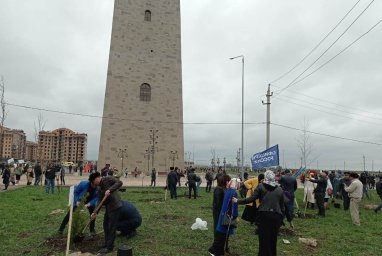Международная акция  «Сад памяти»