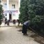 Субботник в РДК Назрановского района 10