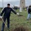 Международная акция  «Сад памяти» 9