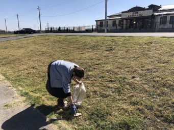 Субботник в честь праздничной даты