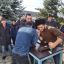 Праздничное мероприятие прошло в Назрановском РДК 15
