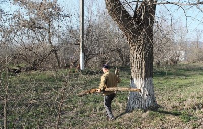 Работники КДЦ г. Малгобек приняли участие в субботнике