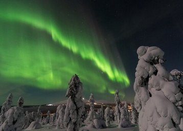 Международная выставка-конкурс косторезного искусства «Душа Севера - 2024»