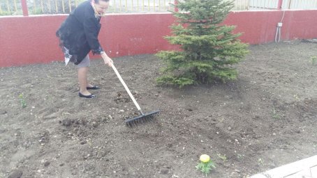 Работники РДНТ провели субботник
