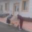 Субботник в РДНТ 2
