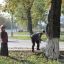 Осенний день благоустройства 11