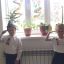 День Победы в Малгобекском районе 7