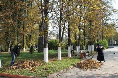 Осенний день благоустройства