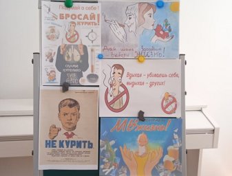 ​Культработники Ингушетии занимаются пропагандой здорового образа жизни