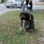 КДУ РИ приняли участие в бщереспубликанском субботнике 2 КДУ РИ приняли участие в бщереспубликанском субботнике 2
