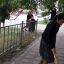КДУ РИ приняли участие в бщереспубликанском субботнике 11 КДУ РИ приняли участие в бщереспубликанском субботнике 11